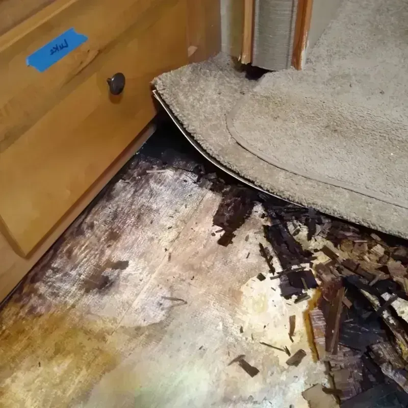 Wood Floor Water Damage in Clay County, MS